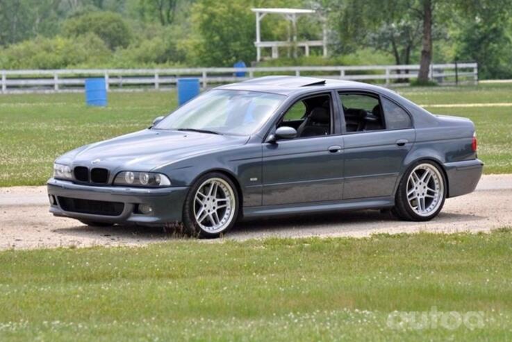 Ac Schitzer, stop lekki